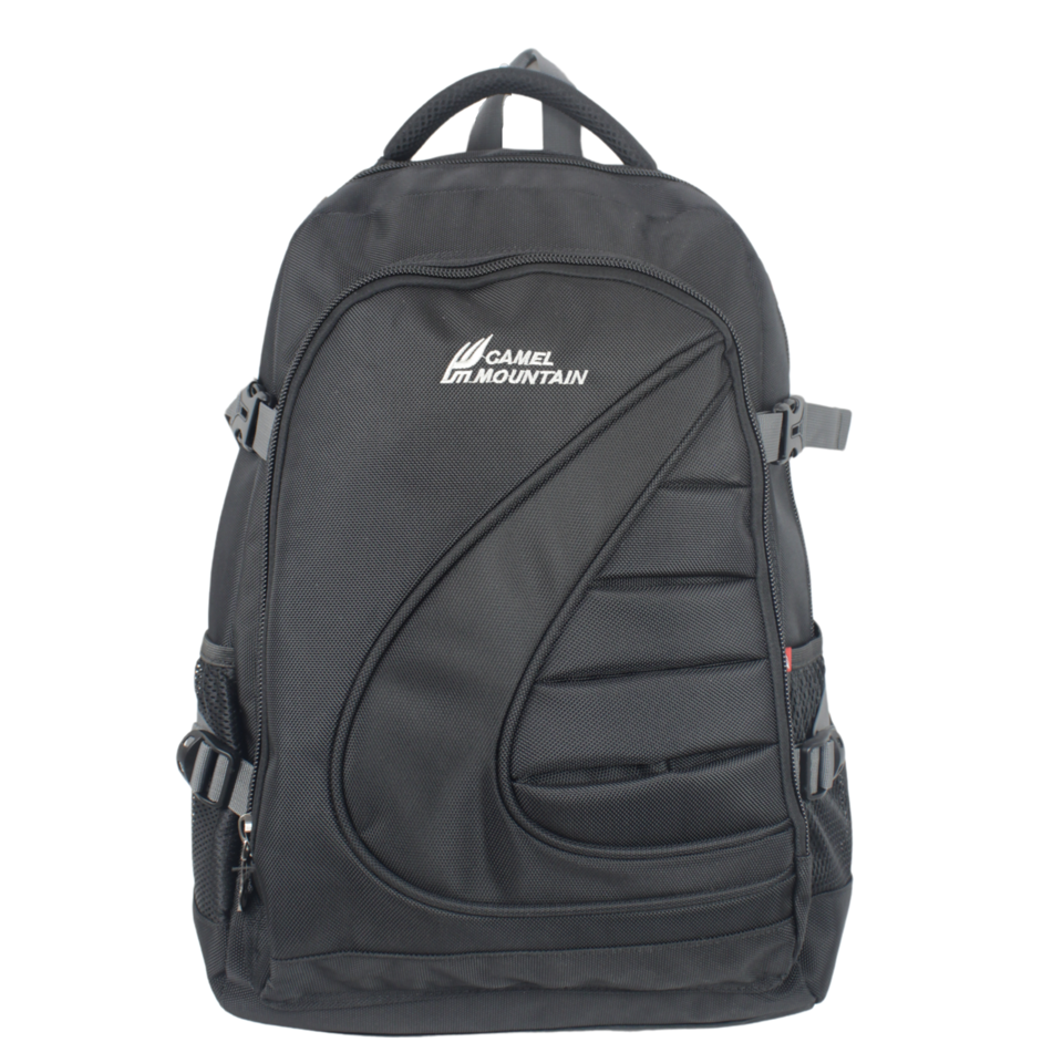 Camel Mountain 2013 Backpack