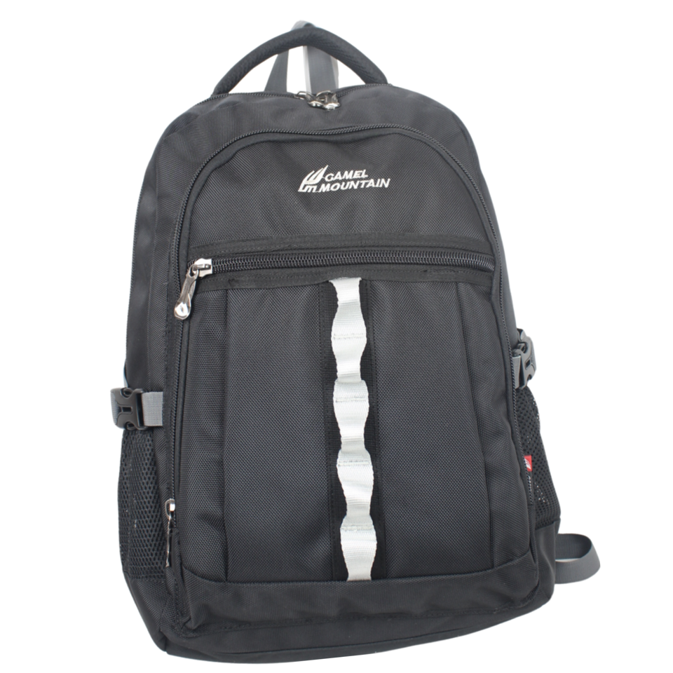Camel Mountain 2002 Backpack